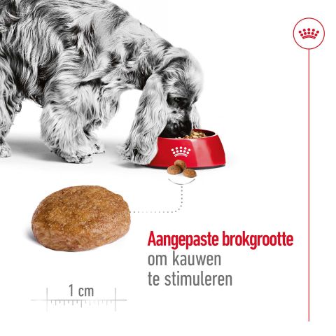 Royal Canin SHN Medium Adult 7+ Hondenvoer - Gevogelte - 10 kg