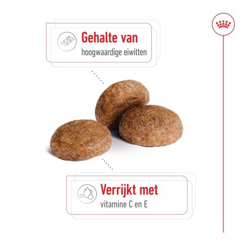 Royal Canin SHN Medium Adult 7+ Hondenvoer - Gevogelte - 10 kg