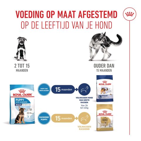 Royal Canin SHN Maxi Puppy - Hondenvoer - Gevogelte - 10 kg