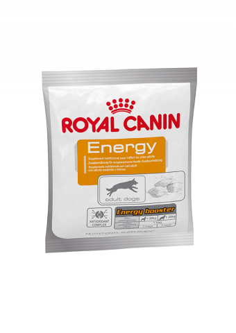 Royal Canin  Adult Energy trainingsbrokje - Hondensnacks - 50 gram