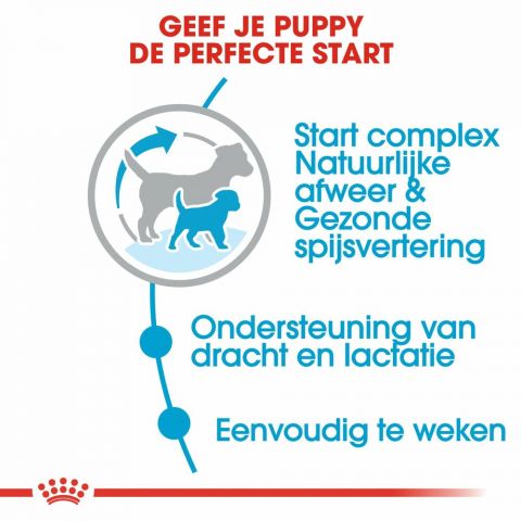 Royal Canin SHN Mini Start Babydog - Hondenvoer - Gevogelte - 4 kg