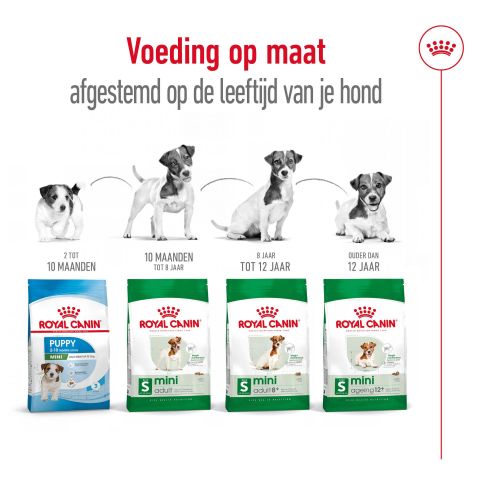 Royal Canin SHN Mini Adult - Hondenvoer - Gevogelte - 2 kg