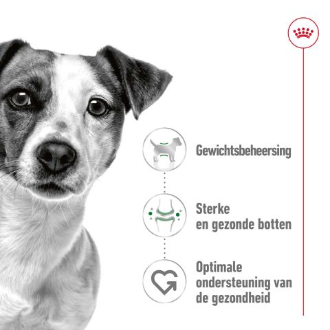 Royal Canin SHN Mini Adult - Hondenvoer - Gevogelte - 8 kg