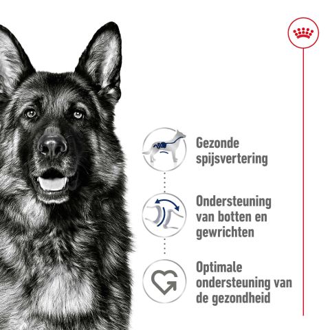 Royal Canin SHN Maxi Adult - Hondenvoer - Gevogelte - 4 kg