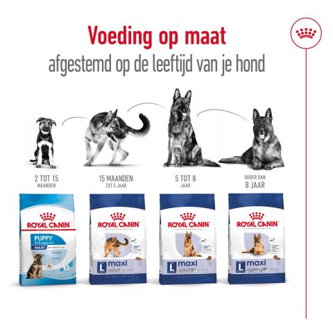 Royal Canin SHN Maxi Adult - Hondenvoer - Gevogelte - 4 kg