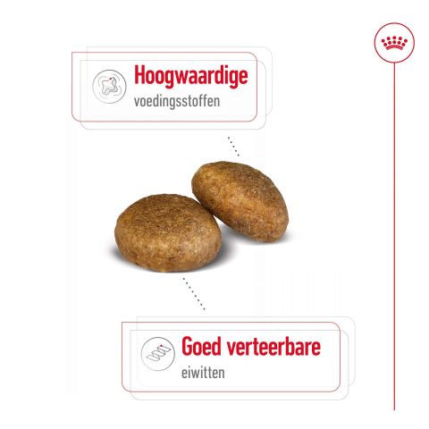 Royal Canin SHN Maxi Adult - Hondenvoer - Gevogelte - 10 kg