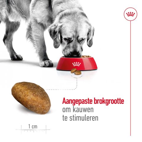 Royal Canin SHN Maxi Adult - Hondenvoer - Gevogelte - 10 kg