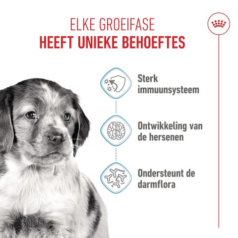 Royal Canin SHN Medium Puppy - Hondenvoer - Gevogelte - 3 kg