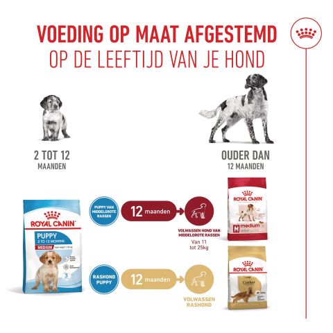 Royal Canin SHN Medium Puppy - Hondenvoer - Gevogelte - 12 kg