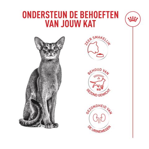 Royal Canin Fussy Exigent - Kattenvoer - 10 kg