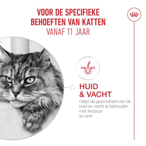 Royal Canin Ageing 11+ - Kattenvoer - 2 kg