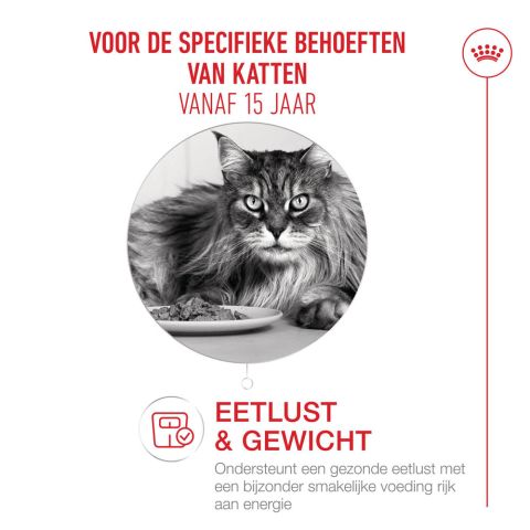 Royal Canin Ageing 15+ - Kattenvoer - 2 kg