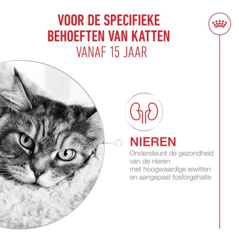 Royal Canin Ageing 15+ - Kattenvoer - 4 kg