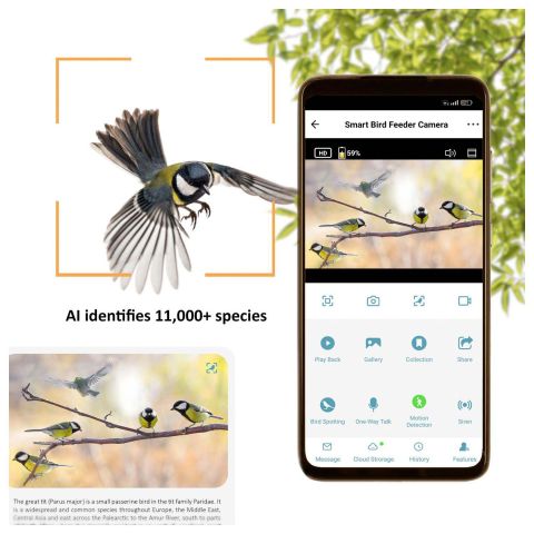 Camouflage Ez Birdfeed - Voederhuis met camera - Groen