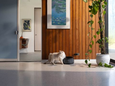 PETLIBRO Polar natvoer met wifi - Automatische voerbak - Zwart