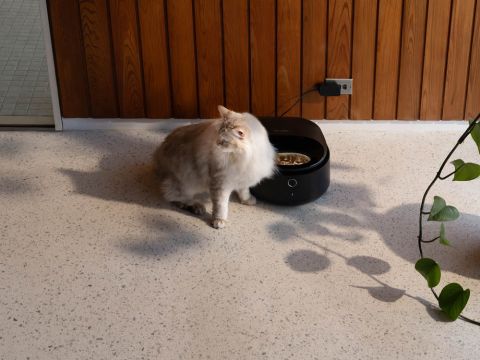 PETLIBRO Polar natvoer met wifi - Automatische voerbak - Zwart