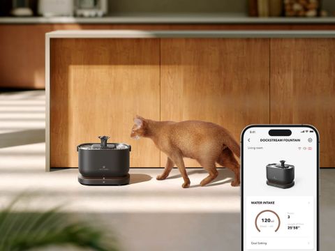 PETLIBRO Dockstream Smart - Drinkfontein kat - Zwart