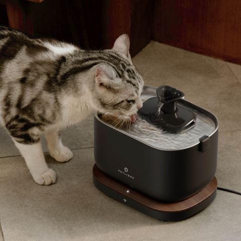 PETLIBRO Dockstream Smart - Drinkfontein kat - Zwart
