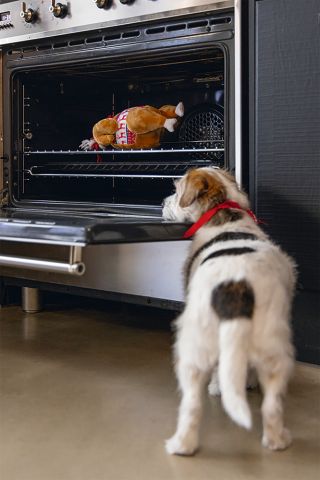 Beeztees Winter Kalkoen - Knuffel - Hondenspeelgoed - Beige - 30 X 18 X 13 CM