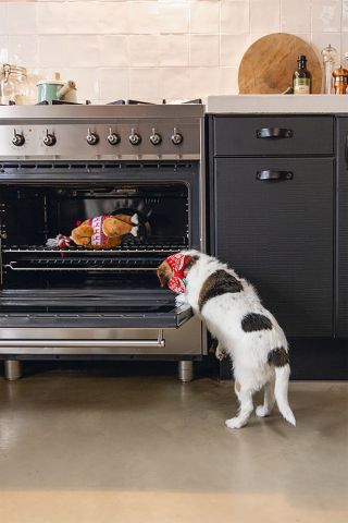 Beeztees Winter Kalkoen - Knuffel - Hondenspeelgoed - Beige - 30 X 18 X 13 CM