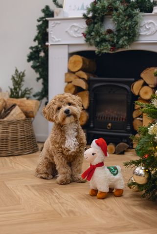 Beeztees Pluche Kerst  Lama Knuffel - Hondenspeelgoed - Wit - 29x20x11cm