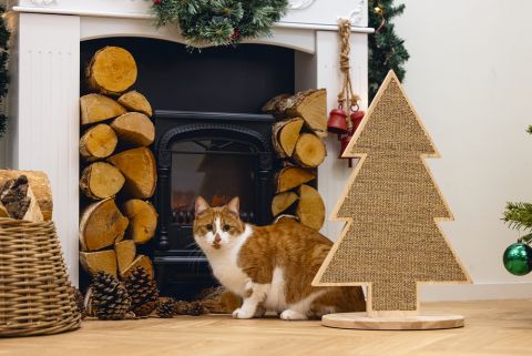 Designed by Lotte Kerstboom - Krabplank - Hout - Naturel - 35x35x62 cm