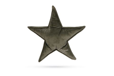 Designed By Lotte Kerstster - Knuffel - Hondenspeelgoed - Groen - 29x27x5 cm