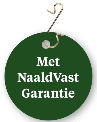 Nordmann gezaagd - Kerstboom - 150-175 cm