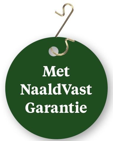 Nordmann gezaagd - Kerstboom - 100-125 cm