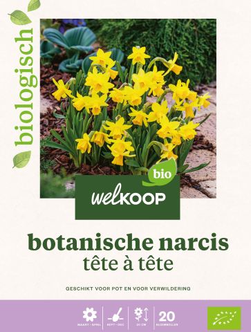 Welkoop Narcis Biologisch Botanische mix - Bloembollen - Gemengd - 20 stuks