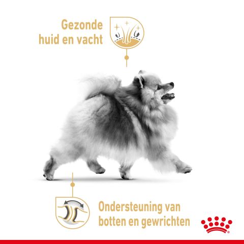 Royal Canin BHN Pomeranian  Adult - Hondenvoer - 12x85 gram - Gevogelte - 1,02 kg