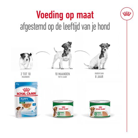 Royal Canin SHN Mini Adult - Hondenvoer - Gevogelte - 195 gram