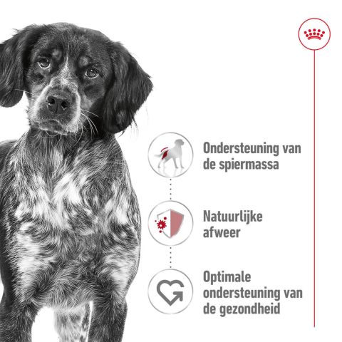 Royal Canin SHN Medium Adult - Hondenvoer - Gevogelte - 410 gram