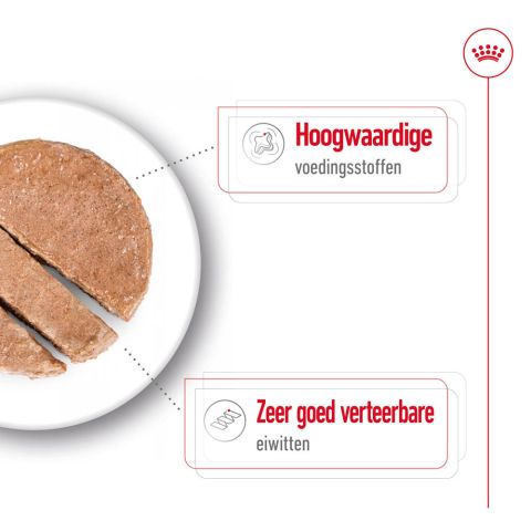 Royal Canin SHN Medium Puppy - Hondenvoer - Gevogelte - 410 gram