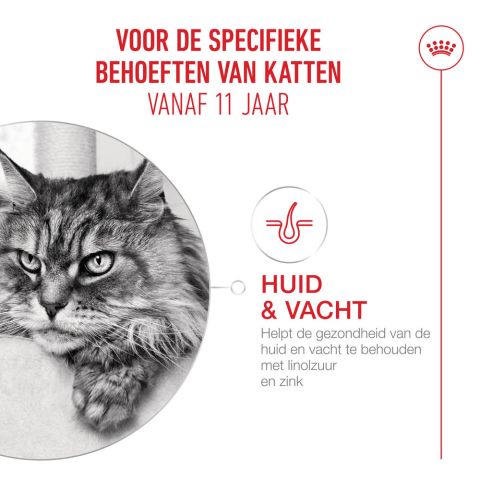 Royal Canin Ageing 11+ - Kattenvoer - 12 stuks