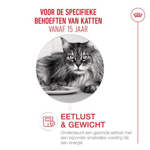 Royal Canin Ageing 15+ - Kattenvoer - 12x85 gram - 1,02 kg