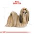 Royal Canin BHN Shih Tzu Adult - Hondenvoer - Gevogelte - 3 kg