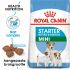 Royal Canin SHN Mini Start Babydog - Hondenvoer - Gevogelte - 4 kg