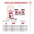 Royal Canin Fussy Exigent - Kattenvoer - 400 gram