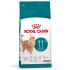 Royal Canin Ageing 11+ - Kattenvoer - 2 kg