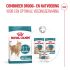 Royal Canin Ageing Steril 11+ - Kattenvoer - 2 kg
