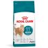 Royal Canin Ageing Steril 11+ - Kattenvoer - 4 kg