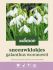 Welkoop Sneeuwklokje Galanthus Woronowii  - Bloembollen - Wit - 30 stuks