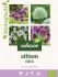 Welkoop Biologisch Allium mix - Bloembollen - Gemengd - 30 stuks