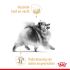 Royal Canin BHN Pomeranian  Adult - Hondenvoer - 12x85 gram - Gevogelte - 1,02 kg