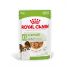 Royal Canin SHN X-Small Adult - Hondenvoer - 12x85 gram - Gevogelte - 1,02 kg
