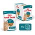 Royal Canin Ageing 11+ - Kattenvoer - 12 stuks