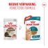 Royal Canin Ageing 11+ - Kattenvoer - 12 stuks