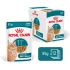 Royal Canin Ageing 11+ - Kattenvoer - 12 stuks