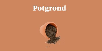 Potgrond